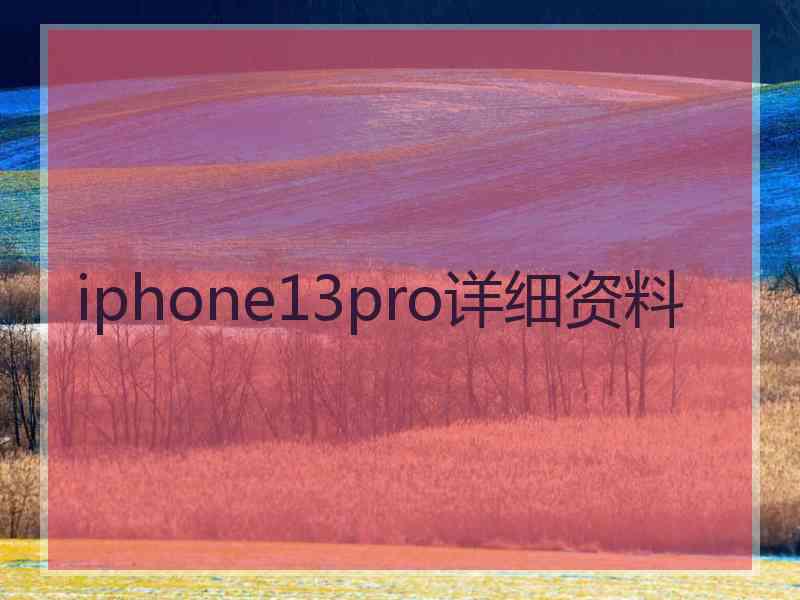 iphone13pro详细资料