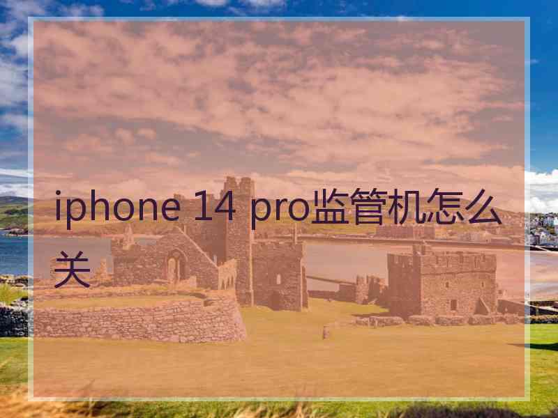 iphone 14 pro监管机怎么关