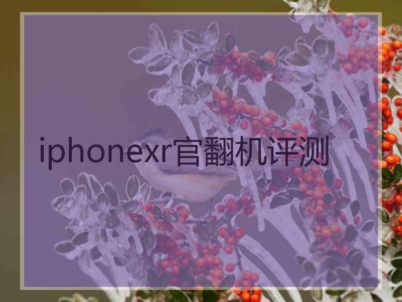 iphonexr官翻机评测