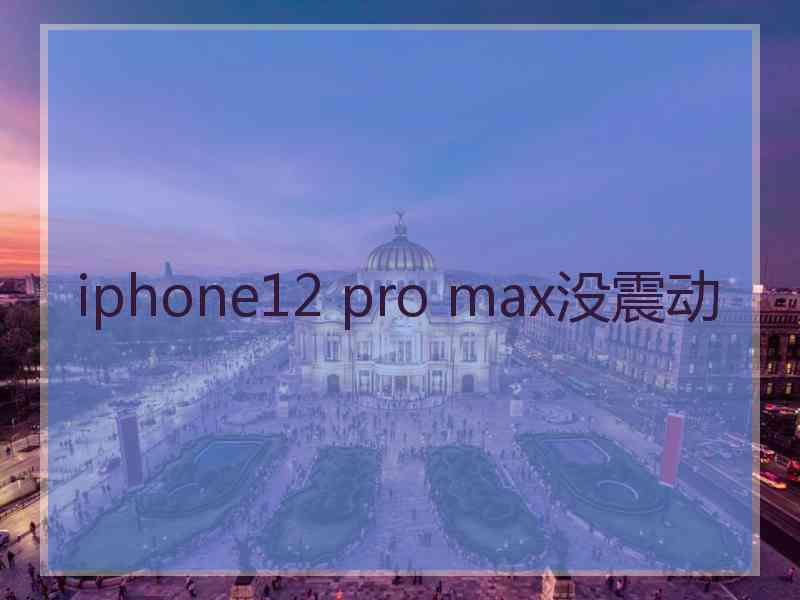 iphone12 pro max没震动