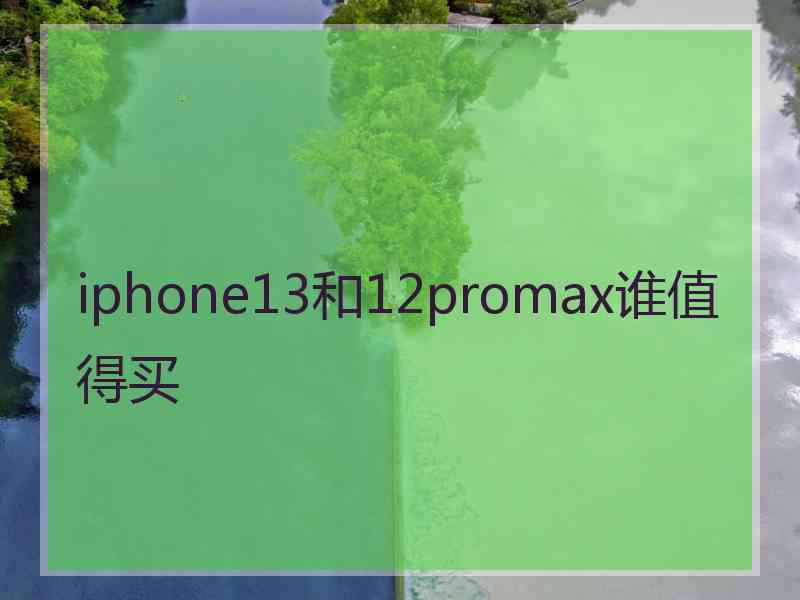 iphone13和12promax谁值得买