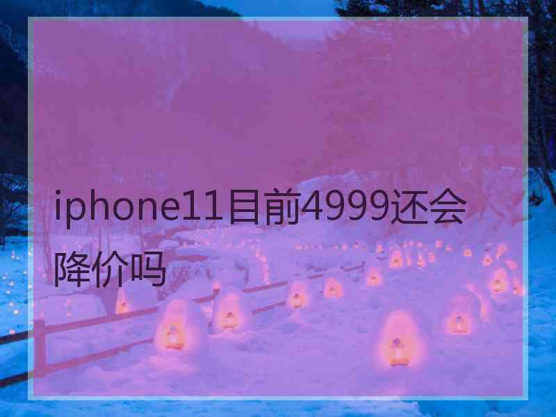 iphone11目前4999还会降价吗