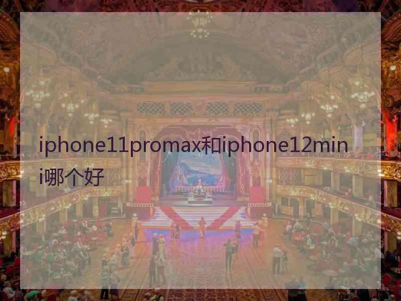 iphone11promax和iphone12mini哪个好