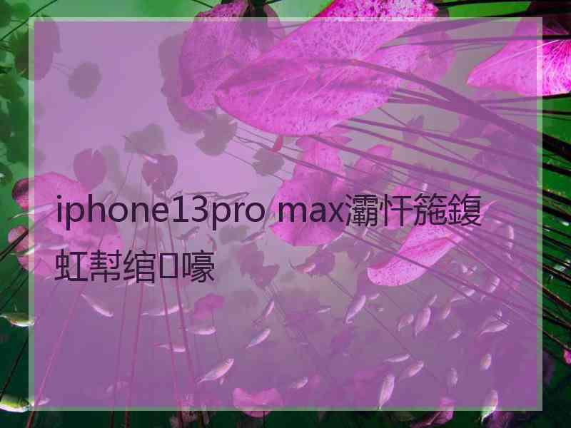 iphone13pro max灞忓箷鍑虹幇绾㈢嚎