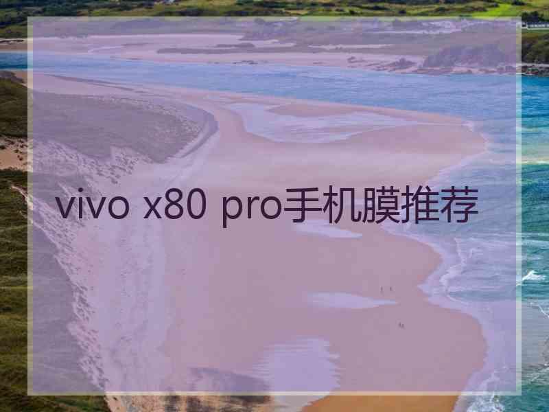 vivo x80 pro手机膜推荐