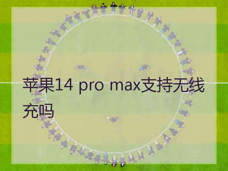 苹果14 pro max支持无线充吗