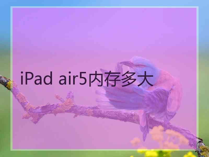 iPad air5内存多大