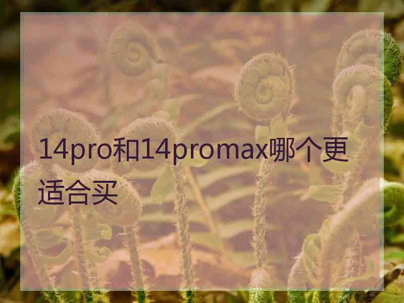 14pro和14promax哪个更适合买