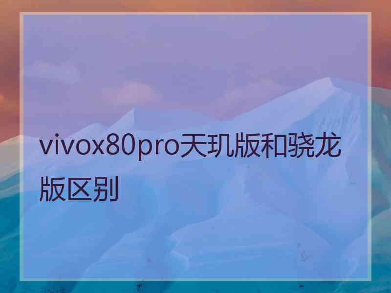 vivox80pro天玑版和骁龙版区别