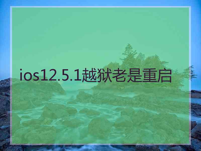 ios12.5.1越狱老是重启