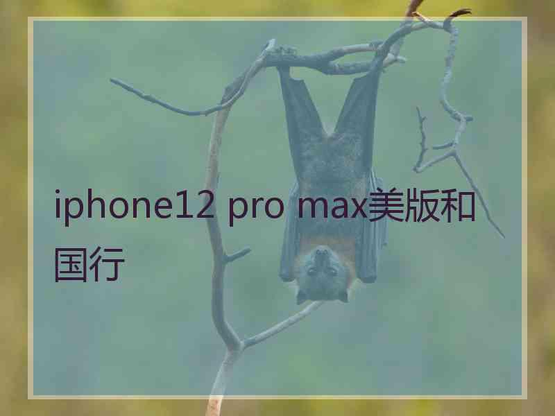 iphone12 pro max美版和国行