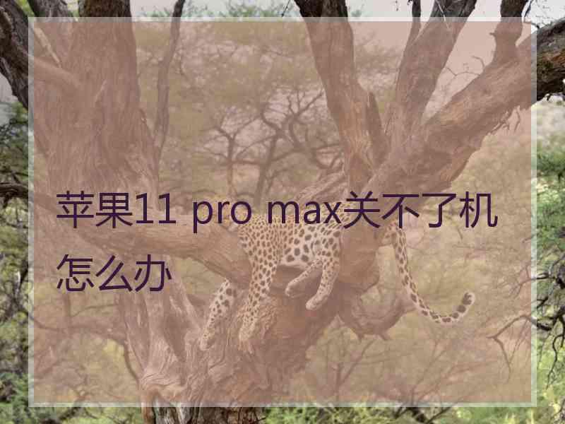 苹果11 pro max关不了机怎么办