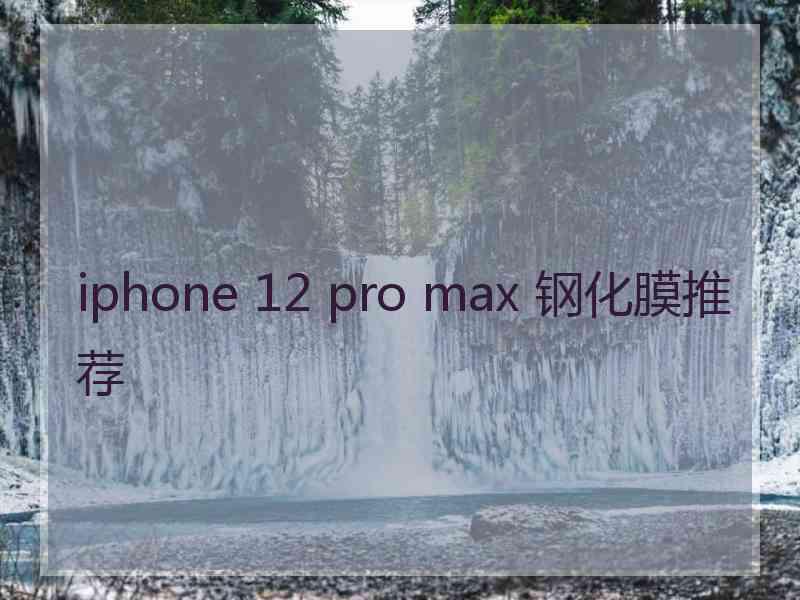 iphone 12 pro max 钢化膜推荐