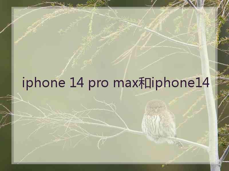 iphone 14 pro max和iphone14