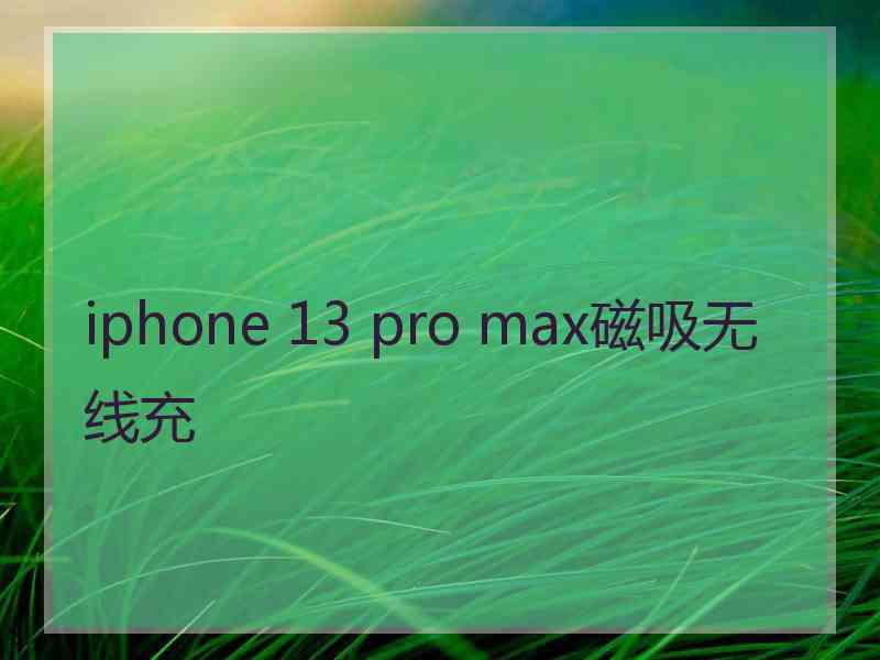 iphone 13 pro max磁吸无线充