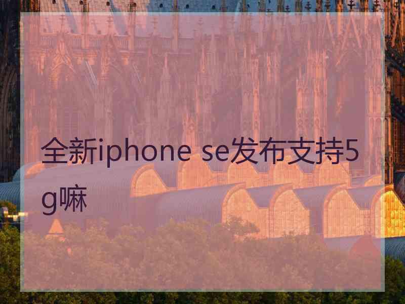 全新iphone se发布支持5g嘛