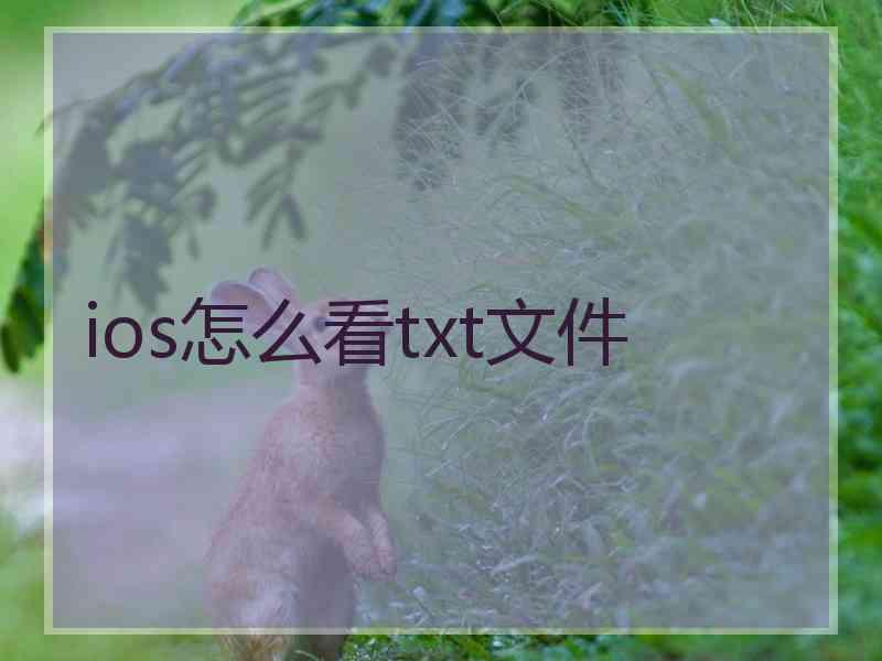 ios怎么看txt文件