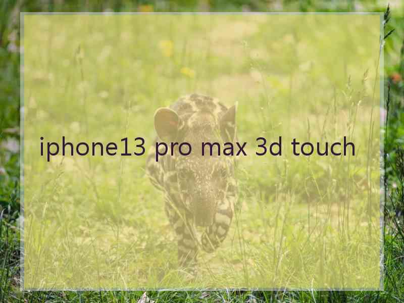 iphone13 pro max 3d touch