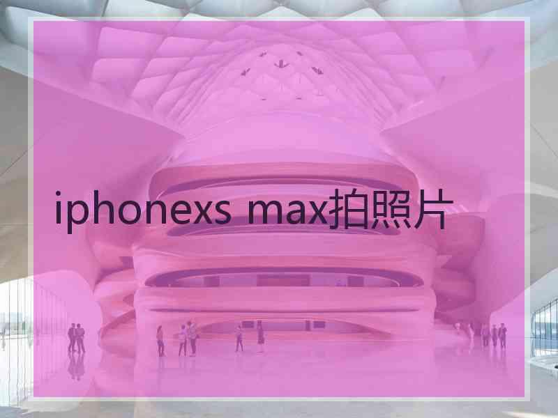 iphonexs max拍照片