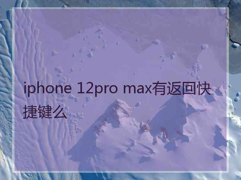 iphone 12pro max有返回快捷键么