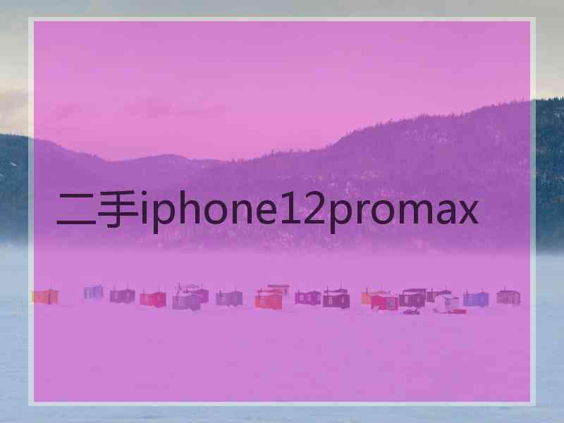 二手iphone12promax