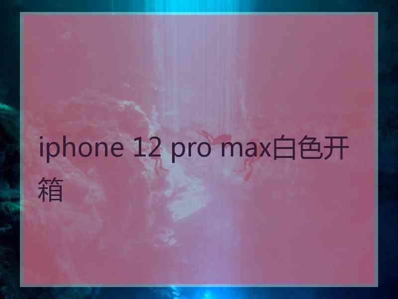 iphone 12 pro max白色开箱