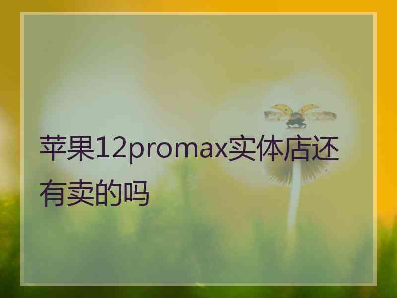 苹果12promax实体店还有卖的吗