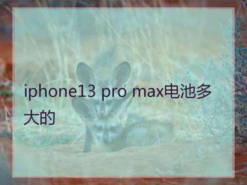 iphone13 pro max电池多大的