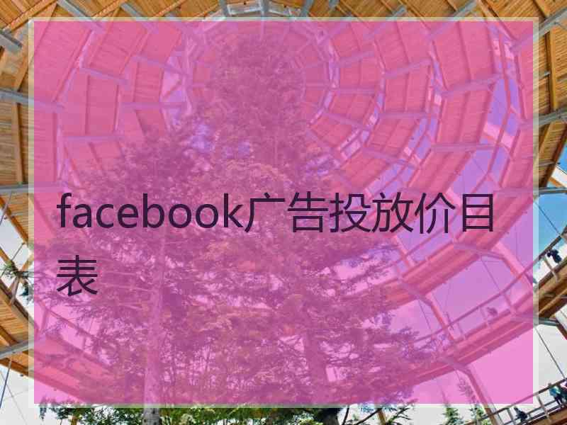 facebook广告投放价目表