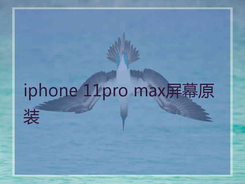 iphone 11pro max屏幕原装