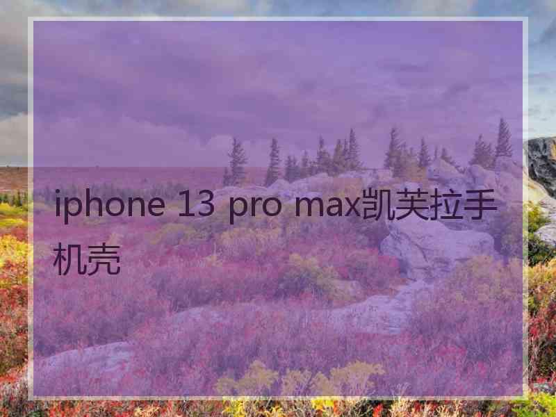 iphone 13 pro max凯芙拉手机壳