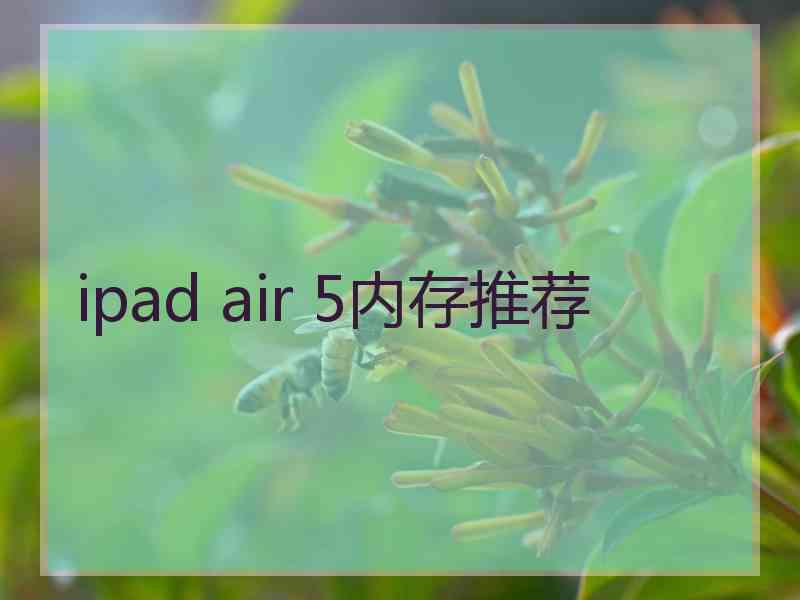 ipad air 5内存推荐