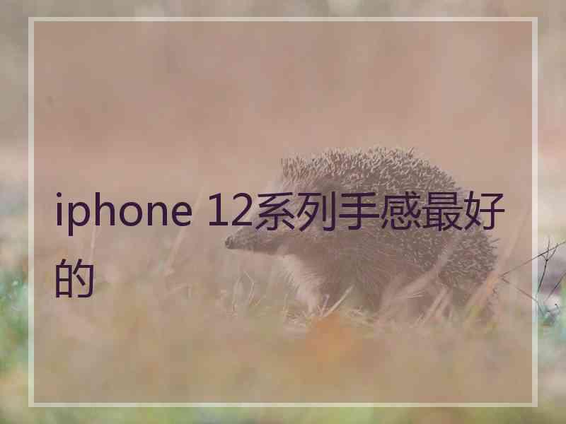 iphone 12系列手感最好的