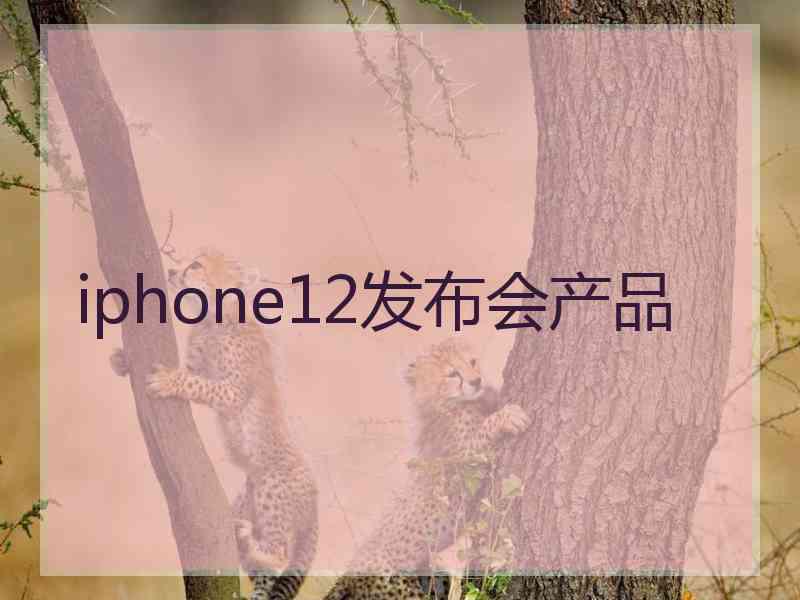 iphone12发布会产品