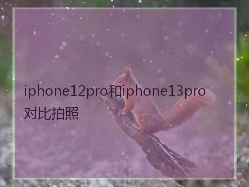 iphone12pro和iphone13pro对比拍照