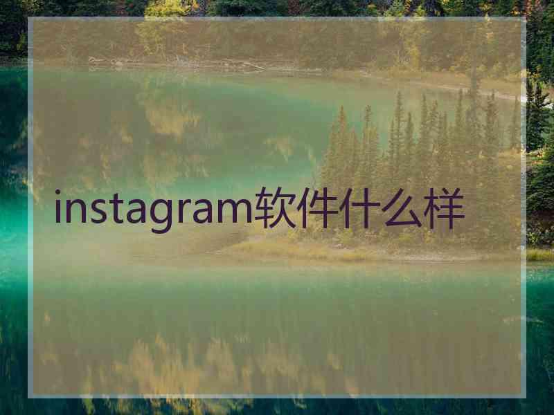 instagram软件什么样