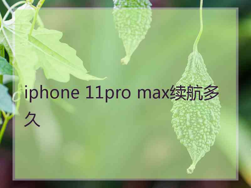 iphone 11pro max续航多久