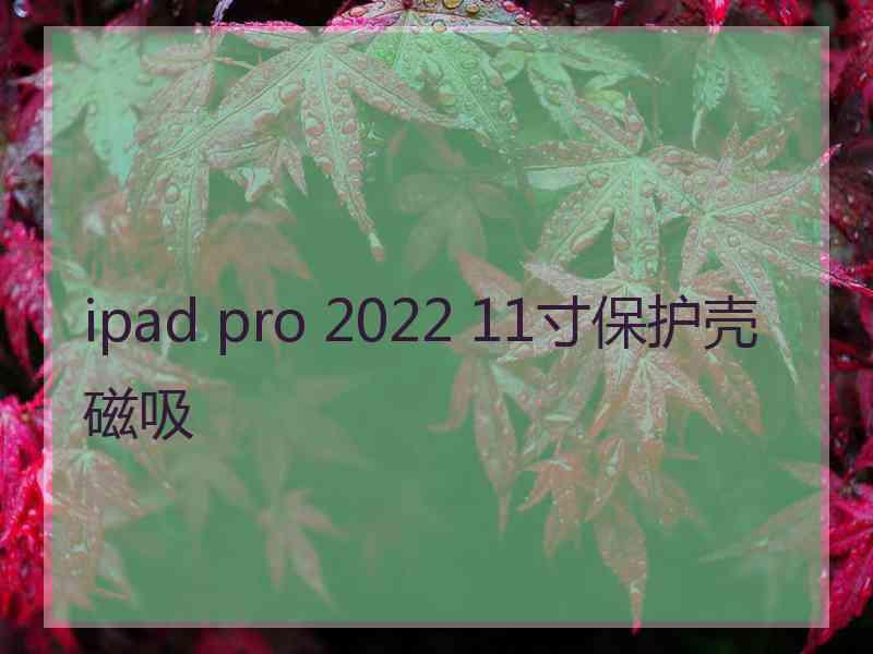 ipad pro 2022 11寸保护壳磁吸