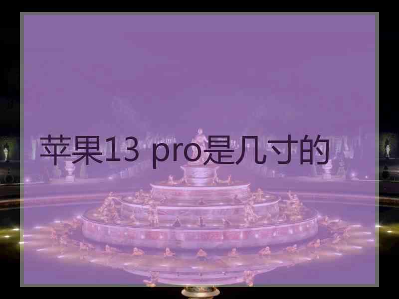 苹果13 pro是几寸的