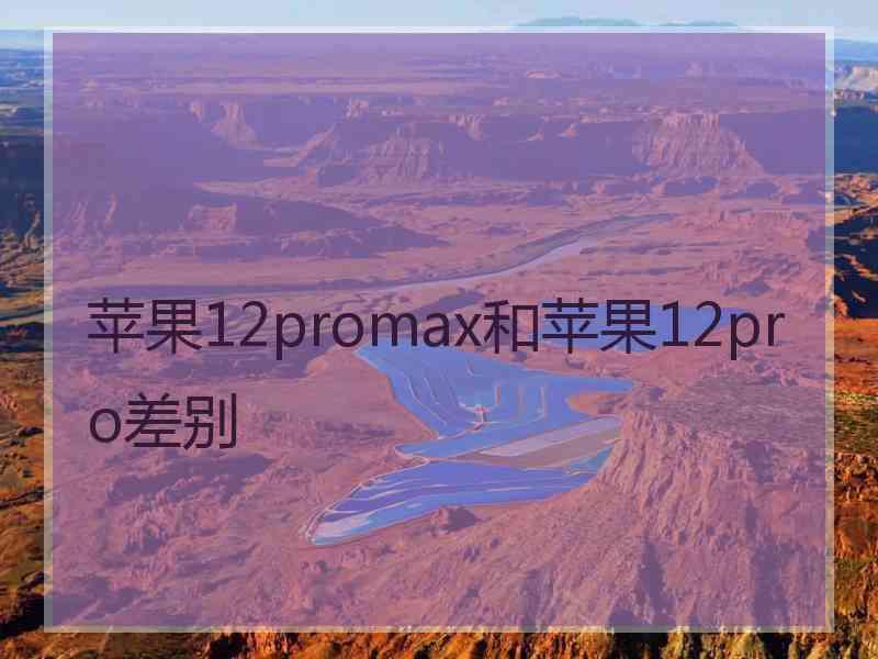 苹果12promax和苹果12pro差别