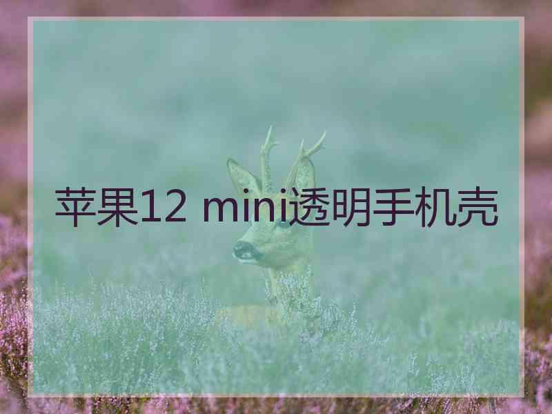 苹果12 mini透明手机壳