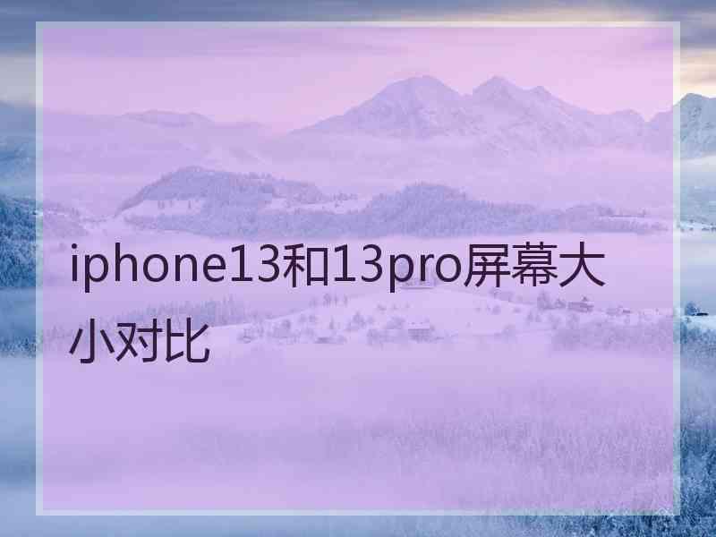 iphone13和13pro屏幕大小对比