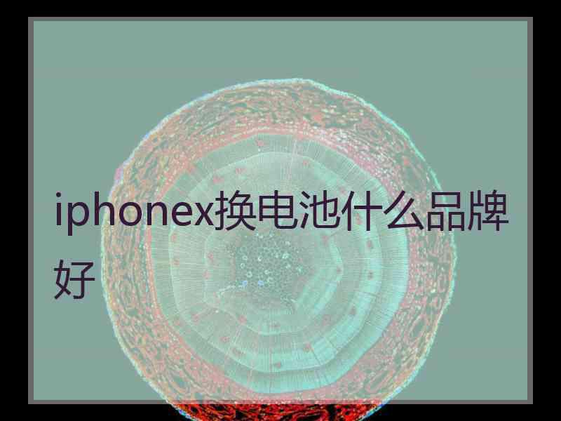 iphonex换电池什么品牌好