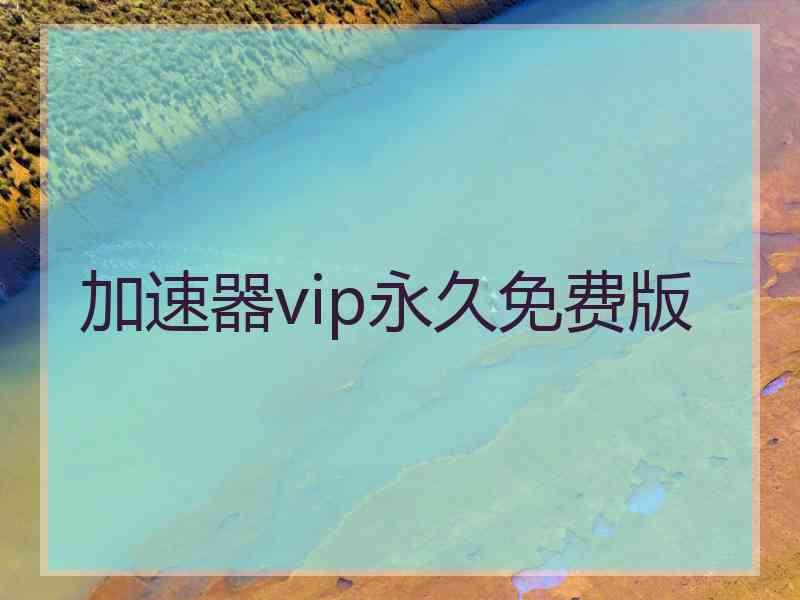 加速器vip永久免费版