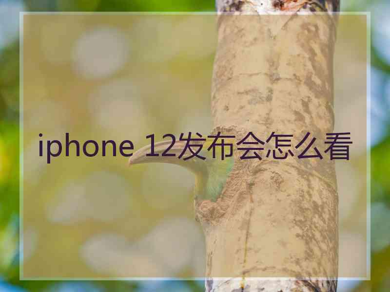 iphone 12发布会怎么看