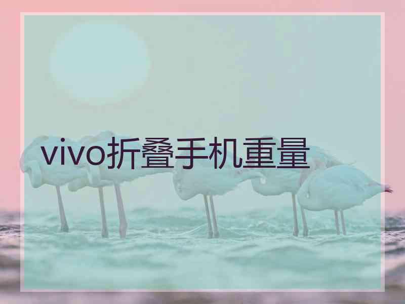 vivo折叠手机重量