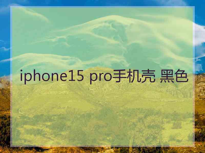 iphone15 pro手机壳 黑色