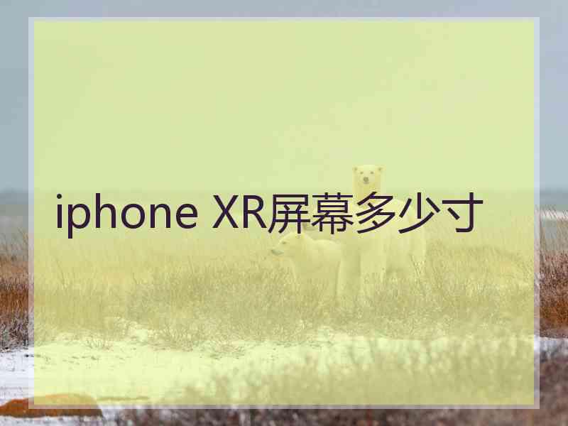 iphone XR屏幕多少寸