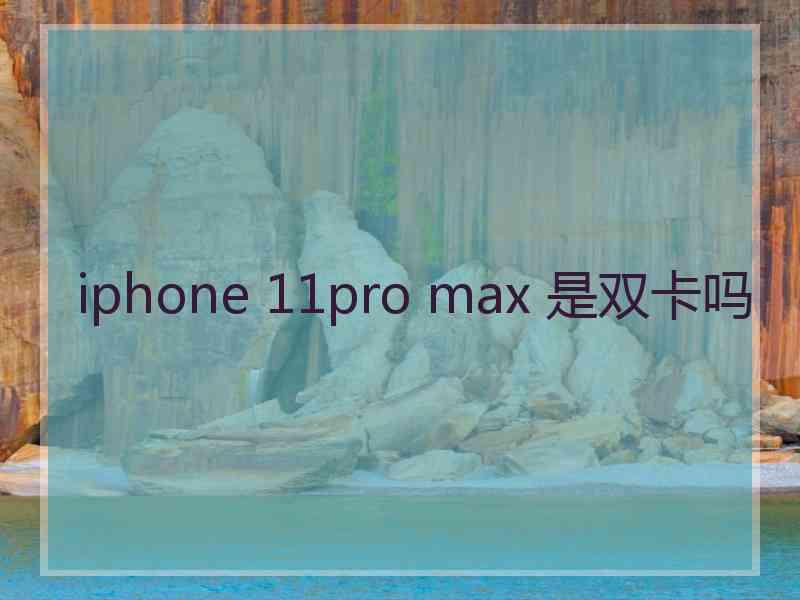 iphone 11pro max 是双卡吗