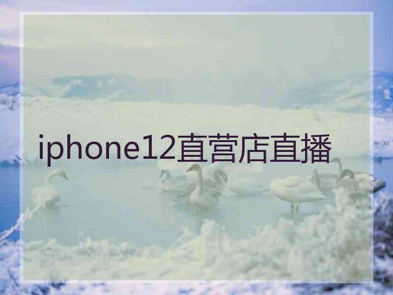 iphone12直营店直播